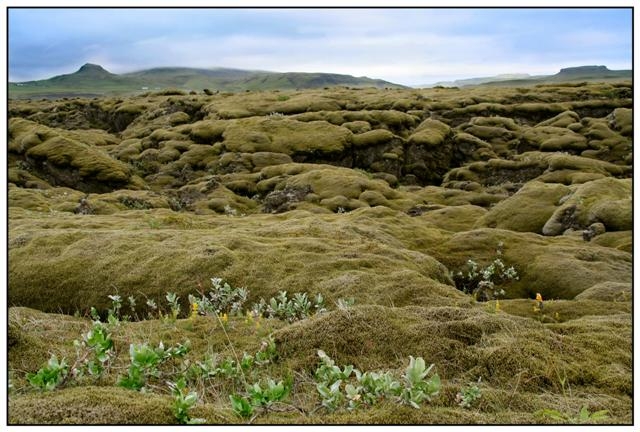 islande sable de Myrdalur 3319 (Small).jpg